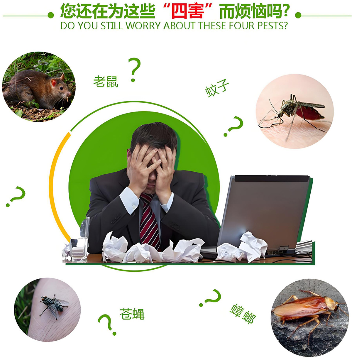 您还在为这些“四害”而烦恼吗?