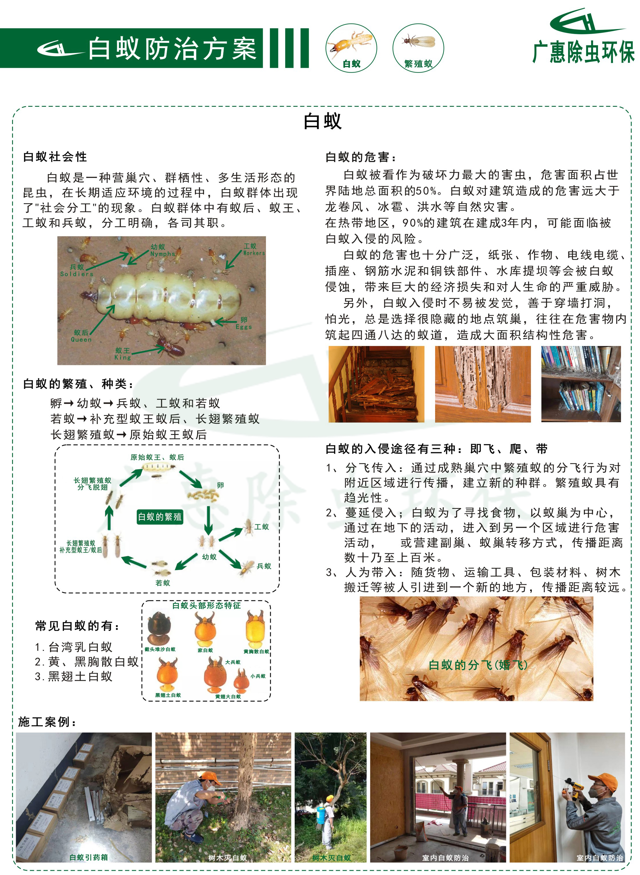 白蚁防治方案