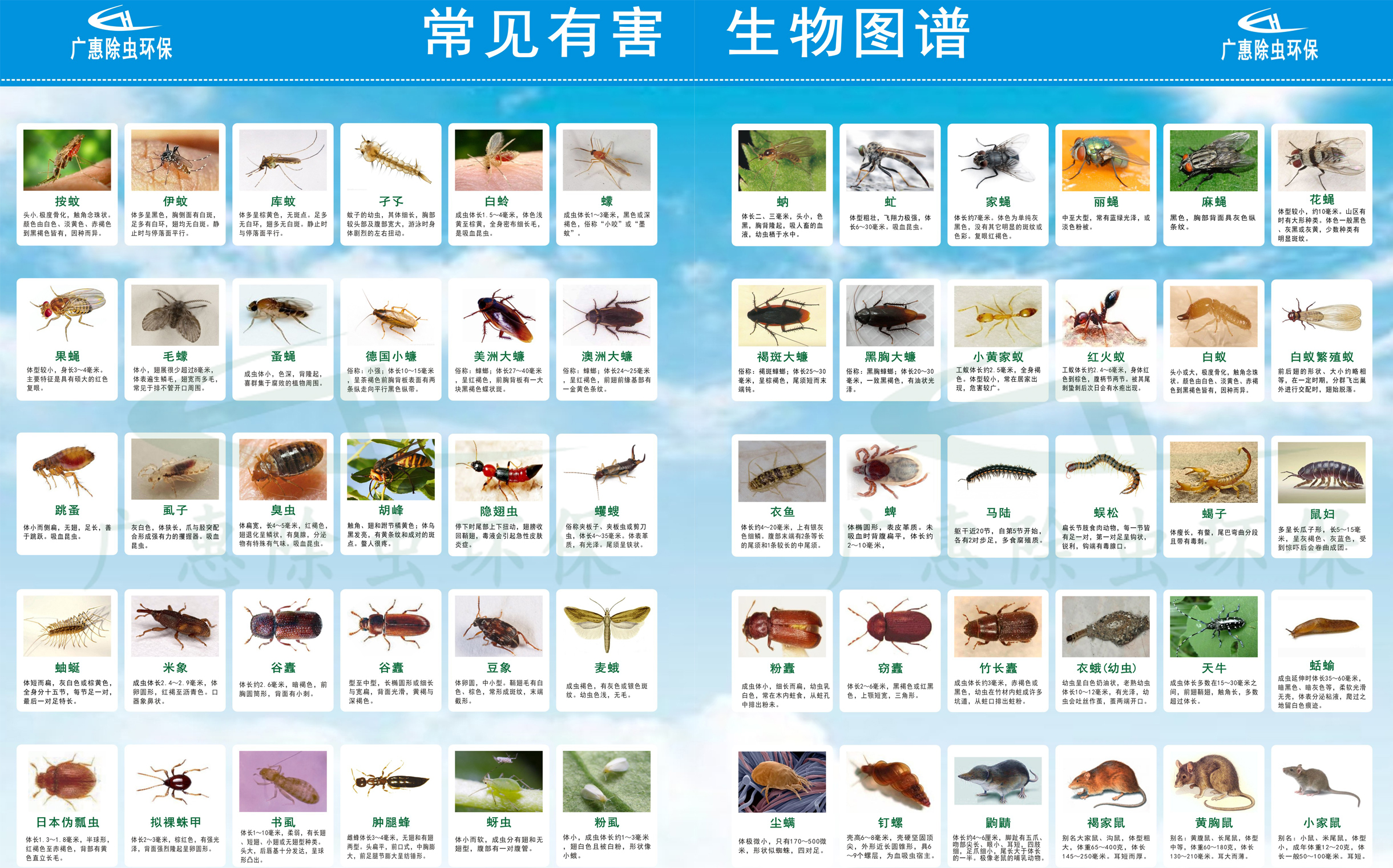 常见有害生物图谱