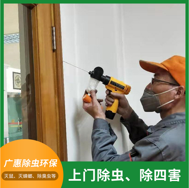 白蚁防治方案