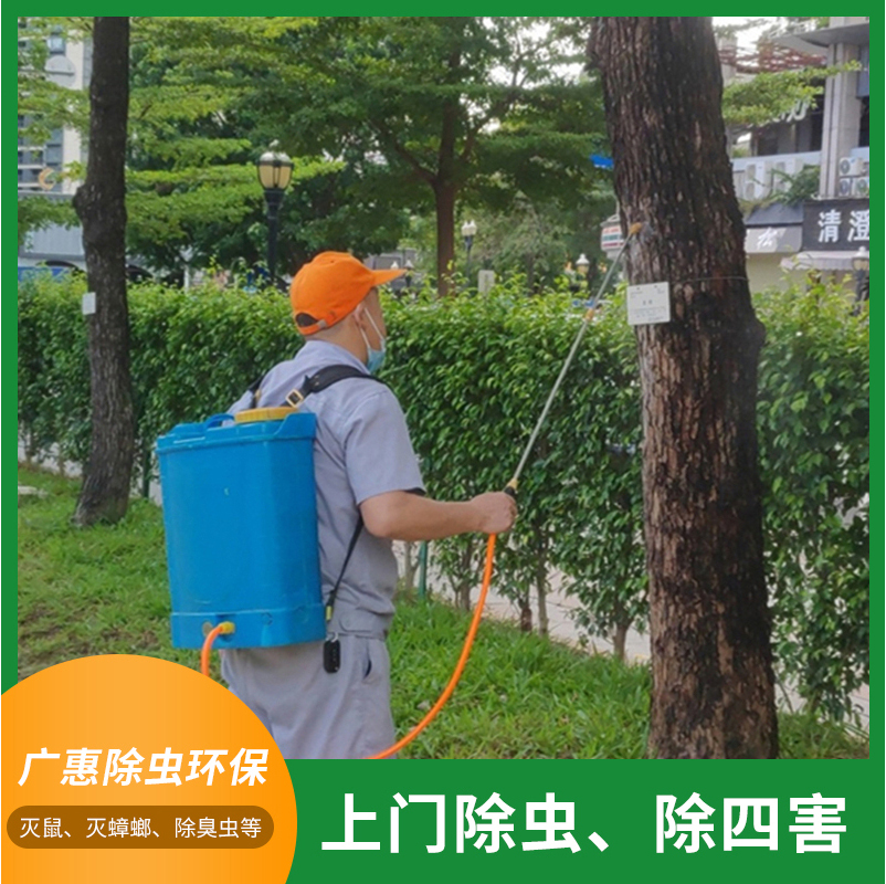 臭虫、跳蚤防治方案