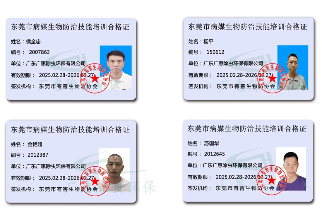 企业员工职业资格证书