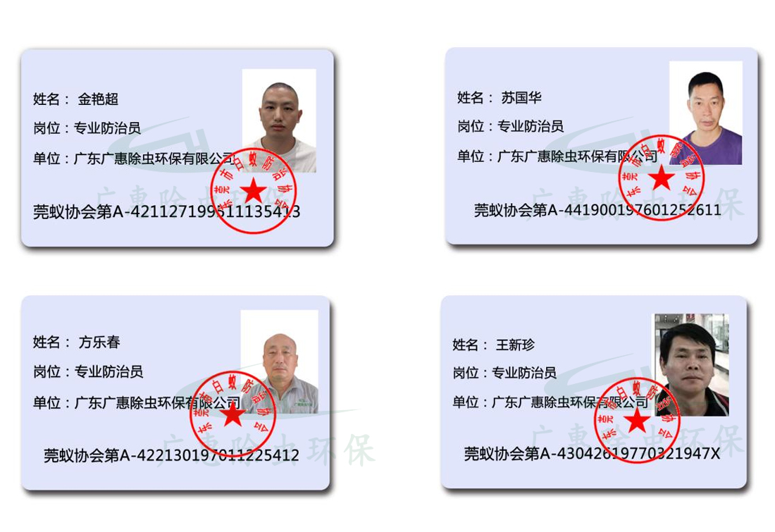 企业员工职业资格证书