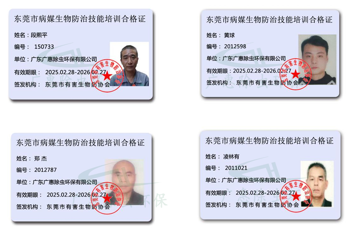 企业员工职业资格证书