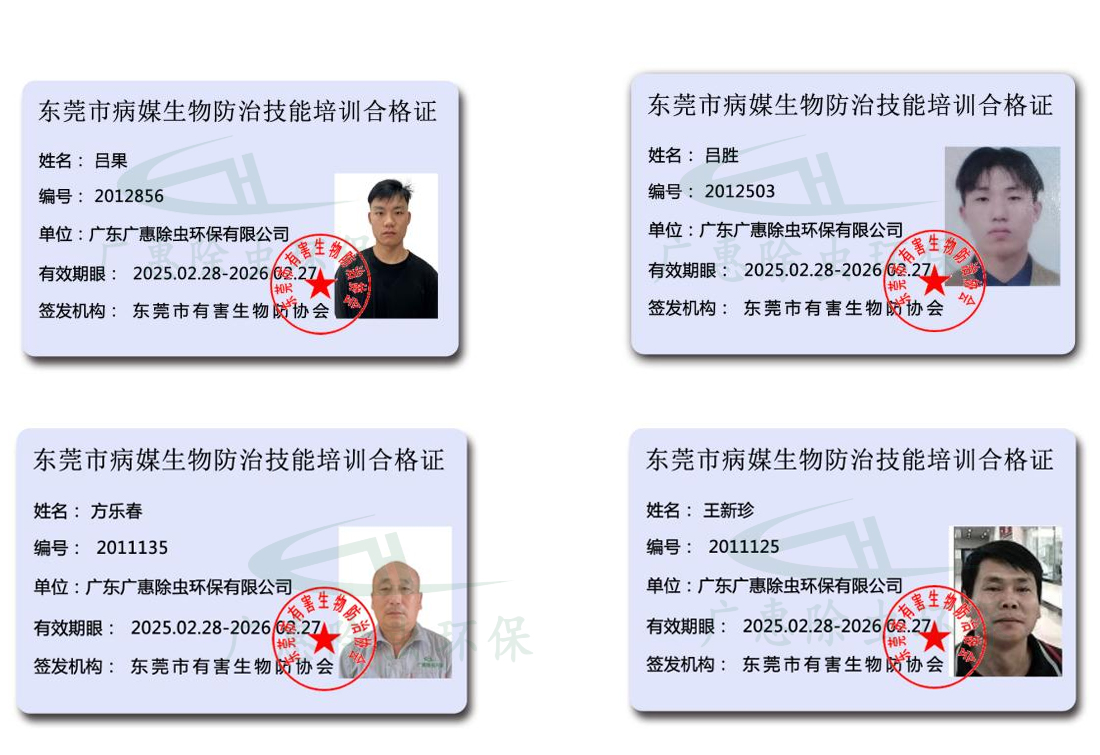 企业员工职业资格证书