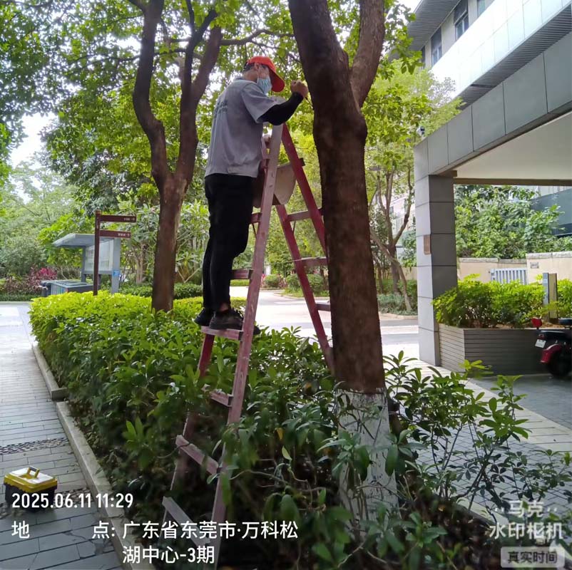 东莞万科松山湖中心-3期消杀工程
