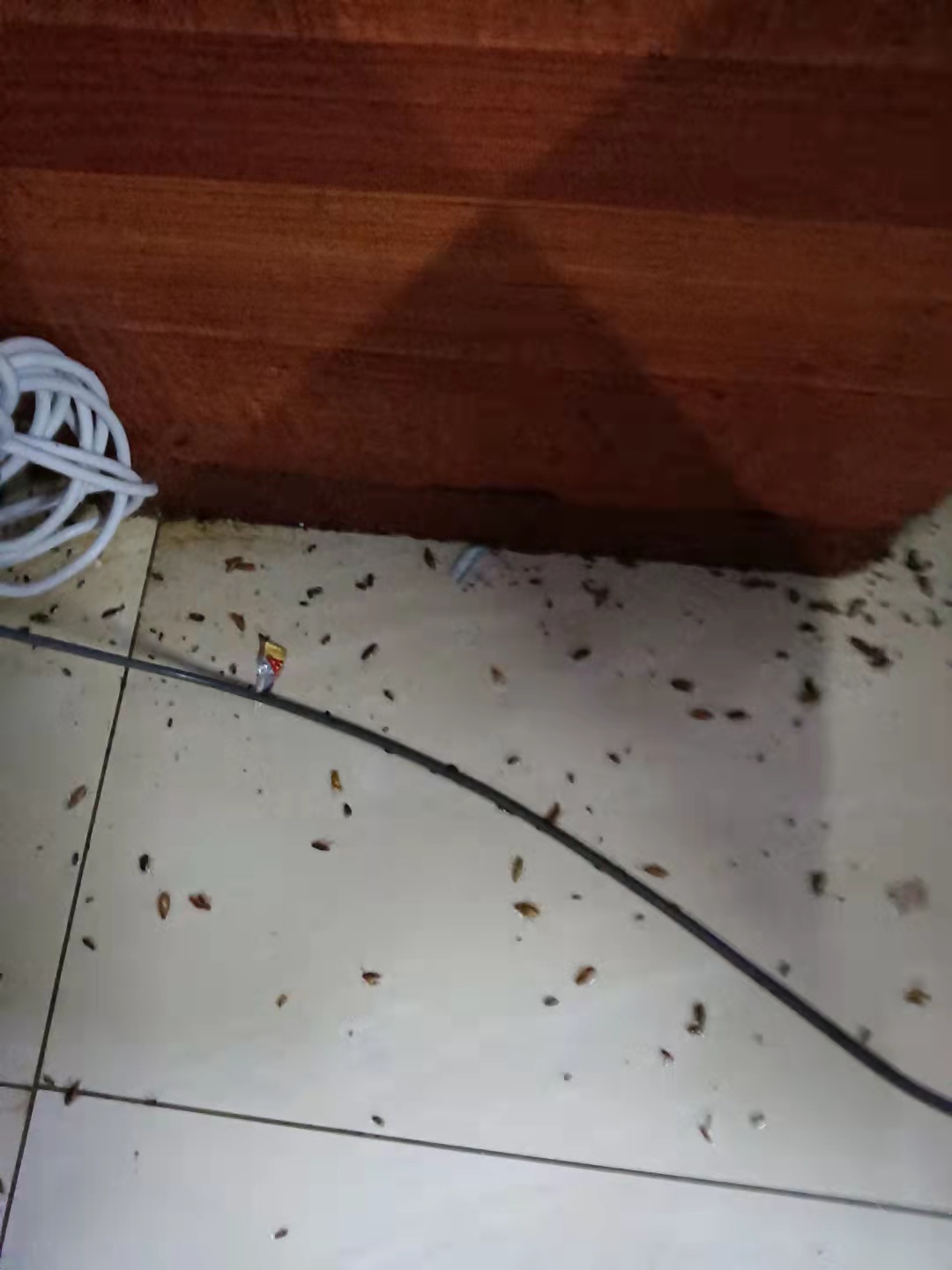 DM_20250424171541_007.jpg