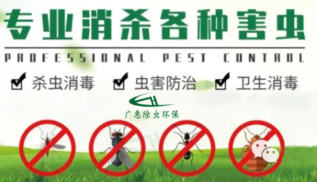 专业消杀害虫.jpg