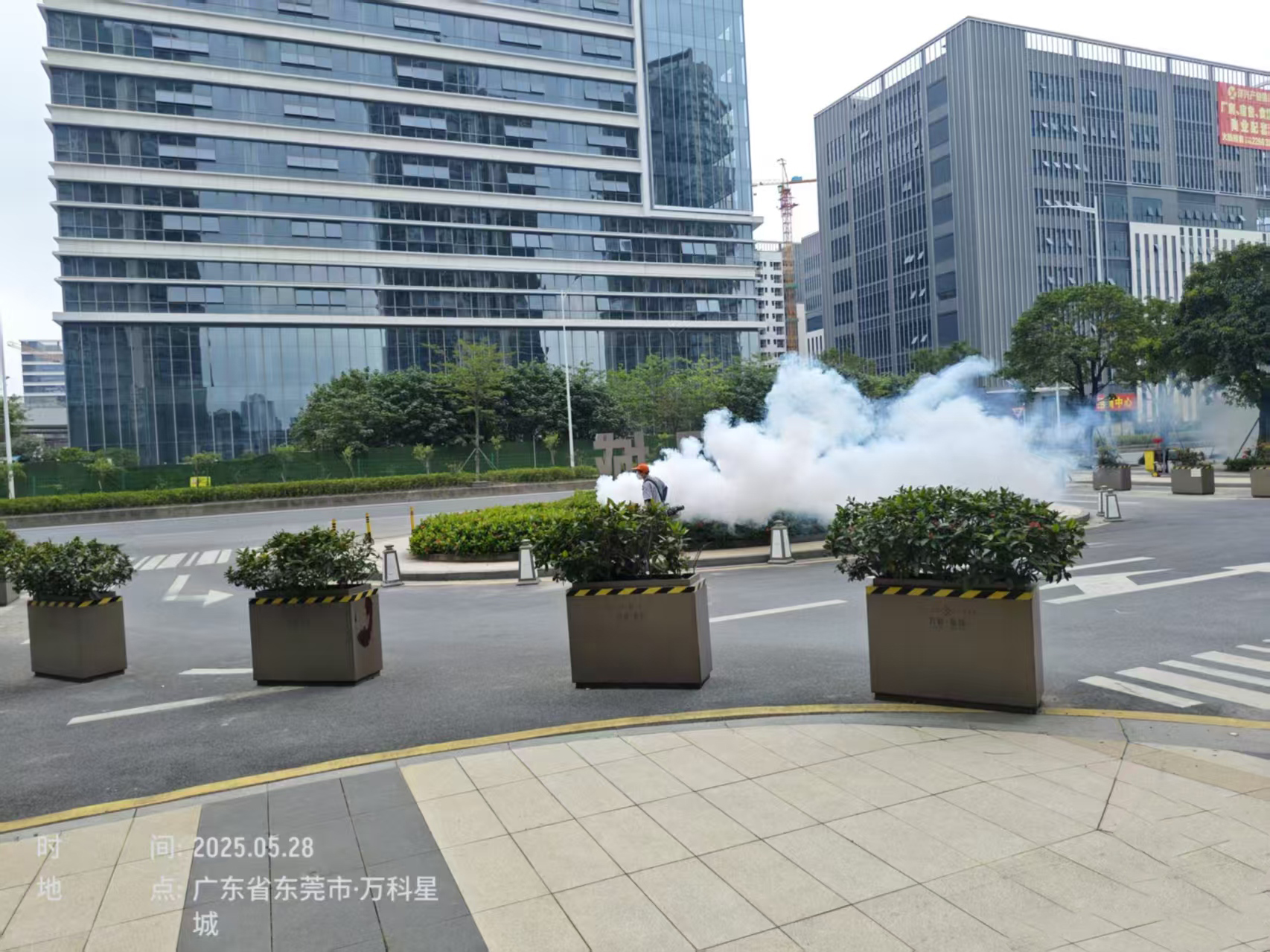 东莞万科星城四害消杀2
