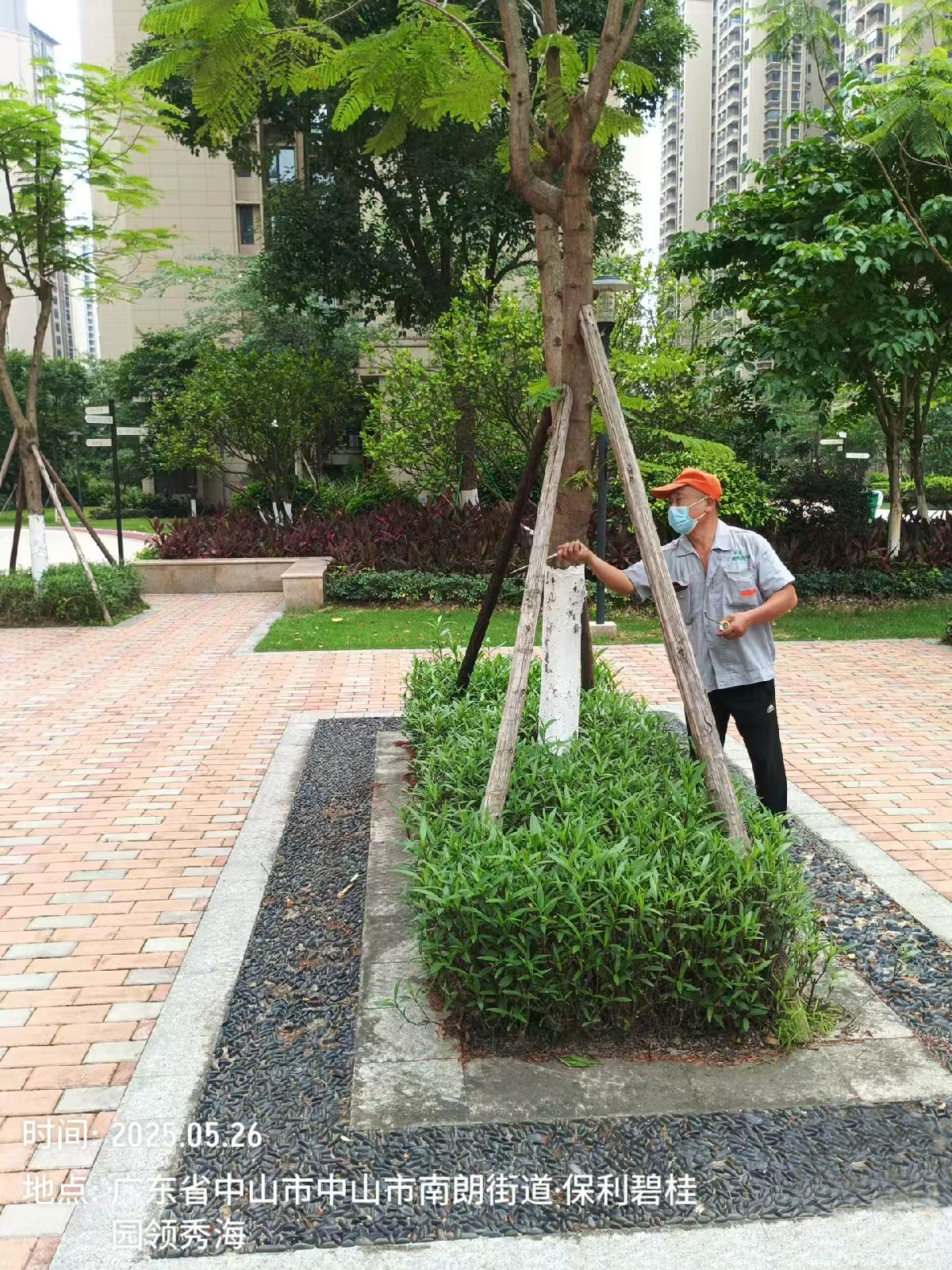 中山保利碧桂园四害消杀服务2