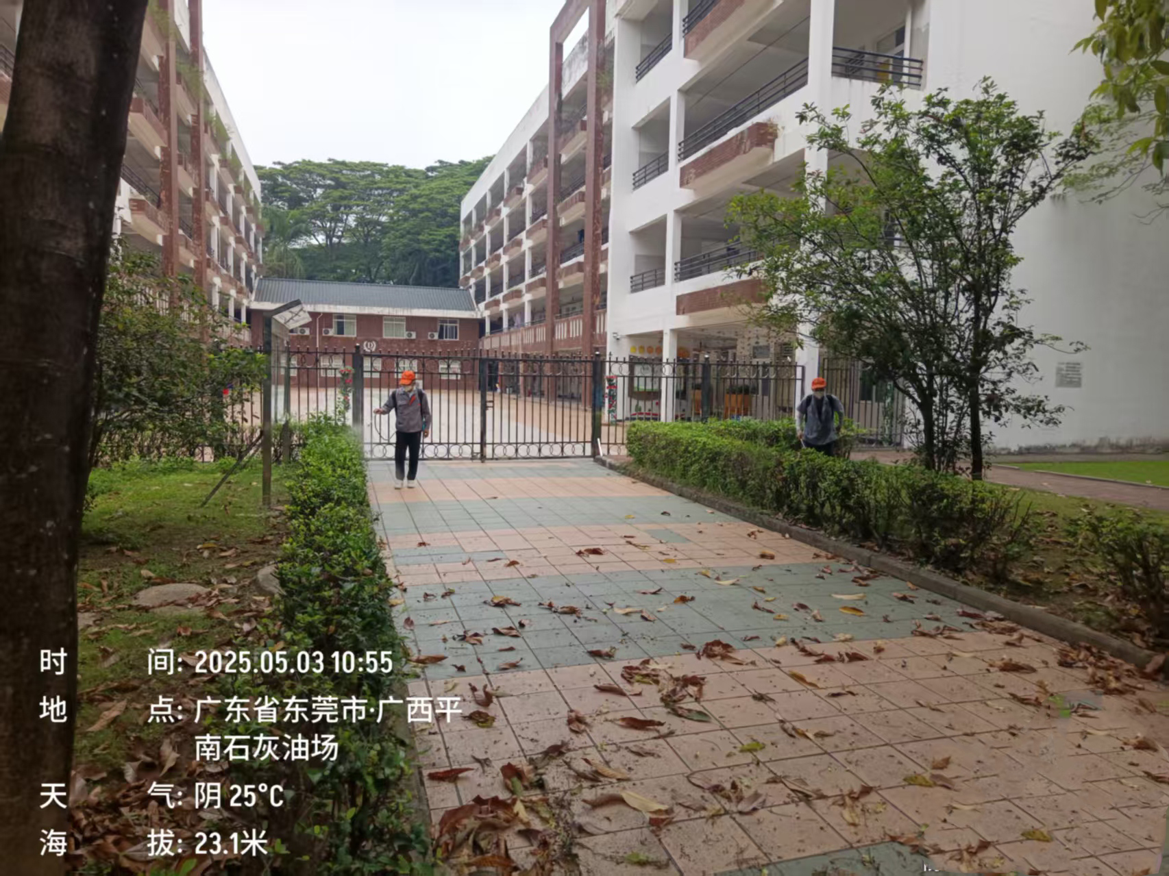 东莞广西平南石灰油场四害消杀1